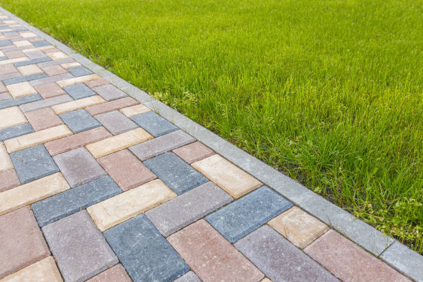 Best Driveway Repair Near Me  in Neptune City, NJ